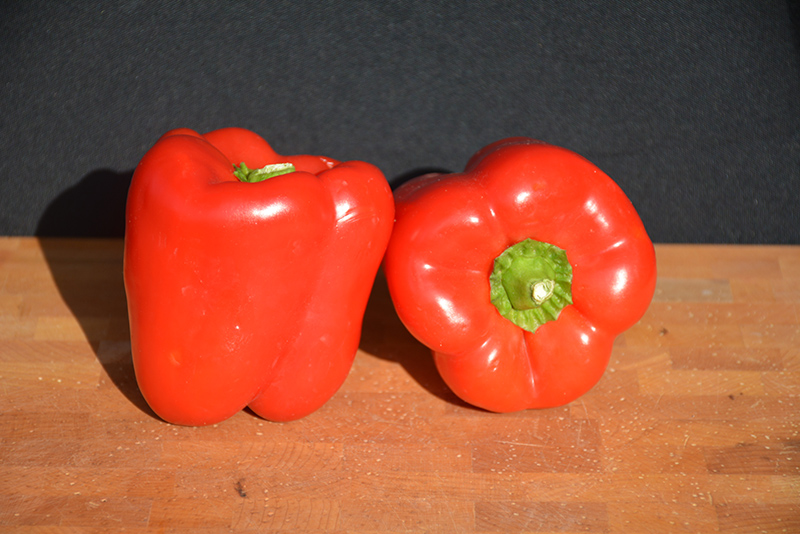 Big Red Sweet Pepper (Capsicum annuum 'Big Red') at Flagg's Garden Center