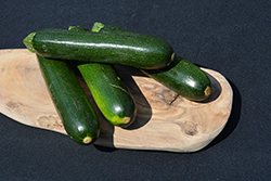Spineless Perfection Zucchini (Cucurbita pepo var. cylindrica 'Spineless Perfection') at A Very Successful Garden Center