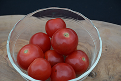 Husky Red Cherry Tomato (Solanum lycopersicum 'Husky Red Cherry') at A Very Successful Garden Center