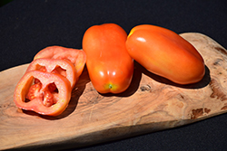 Viva Italia Tomato (Solanum lycopersicum 'Viva Italia') at A Very Successful Garden Center
