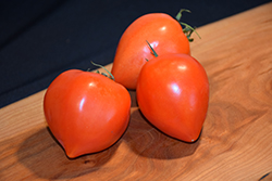 Oxheart Tomato (Solanum lycopersicum 'Oxheart') at A Very Successful Garden Center