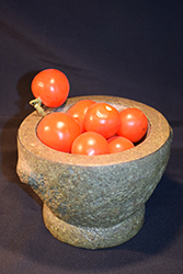 Tastiest Tumbler Tomato (Solanum lycopersicum 'Tastiest Tumbler') at A Very Successful Garden Center