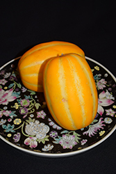 Oriental Melon (Cucumis melo var. makuwa) at A Very Successful Garden Center
