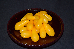 Yellow Pear Tomato (Solanum lycopersicum 'Yellow Pear') at Golden Acre Home & Garden