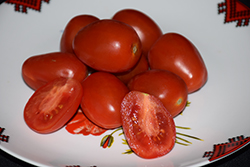 Sugar Lump Tomato (Solanum lycopersicum 'Sugar Lump') at A Very Successful Garden Center