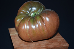Cherokee Chocolate Tomato (Solanum lycopersicum 'Cherokee Chocolate') at A Very Successful Garden Center