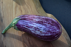 Annina Eggplant (Solanum melongena 'Annina') at A Very Successful Garden Center