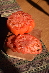 Caspian Pink Tomato (Solanum lycopersicum 'Caspian Pink') at A Very Successful Garden Center