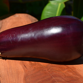 Plant Photo 8