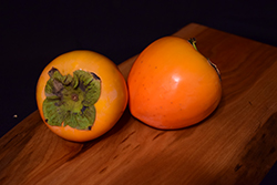 Hachiya Japanese Persimmon (Diospyros kaki 'Hachiya') at Lakeshore Garden Centres