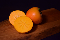 Hachiya Japanese Persimmon (Diospyros kaki 'Hachiya') at Lakeshore Garden Centres
