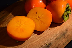 Tanenashi Japanese Persimmon (Diospyros kaki 'Tanenashi') at Lakeshore Garden Centres