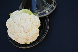 Cauliflower (Brassica oleracea var. botrytis) at Golden Acre Home & Garden