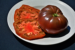 Cherokee Purple Tomato (Solanum lycopersicum 'Cherokee Purple') at A Very Successful Garden Center