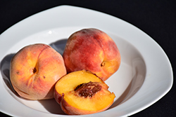 Sentry Peach (Prunus persica 'Sentry') at Lakeshore Garden Centres