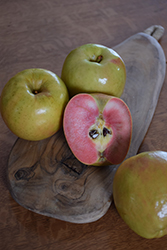 Airlie Red Flesh Apple (Malus 'Airlie Red Flesh') at Lakeshore Garden Centres