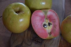 Airlie Red Flesh Apple (Malus 'Airlie Red Flesh') at Lakeshore Garden Centres